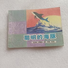 聪明的海豚