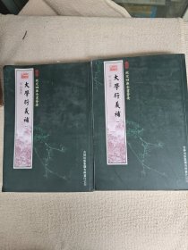 钦定四库全书荟要: 大学衍义补 (一) (二) 全2册