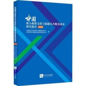 中国地方政府文化与旅游公共服务效率研究报告（2020）