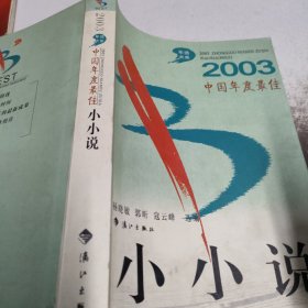 2003中国年度最佳小小说