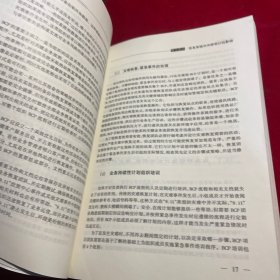 布林克现代内部审计学 下册