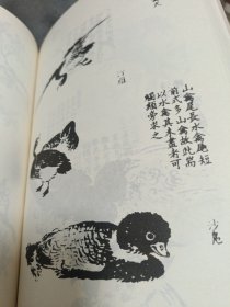 中国书画大系：芥子园画谱