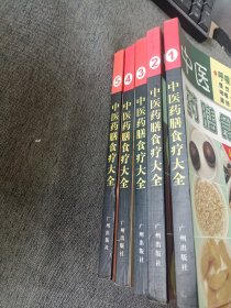 中医药膳食疗大全1-5册