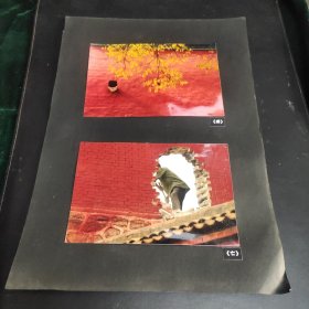 摄影作品19：同一来源系列之风景照片2张，作者不同，彩色