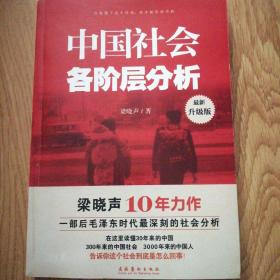 中国社会各阶层分析（一部后毛泽东时代最深刻的社会分析）