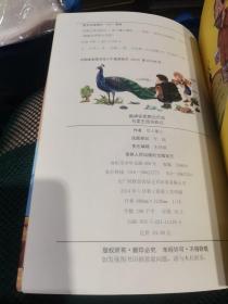 跟随史密斯去历险·鸟类王国历险记