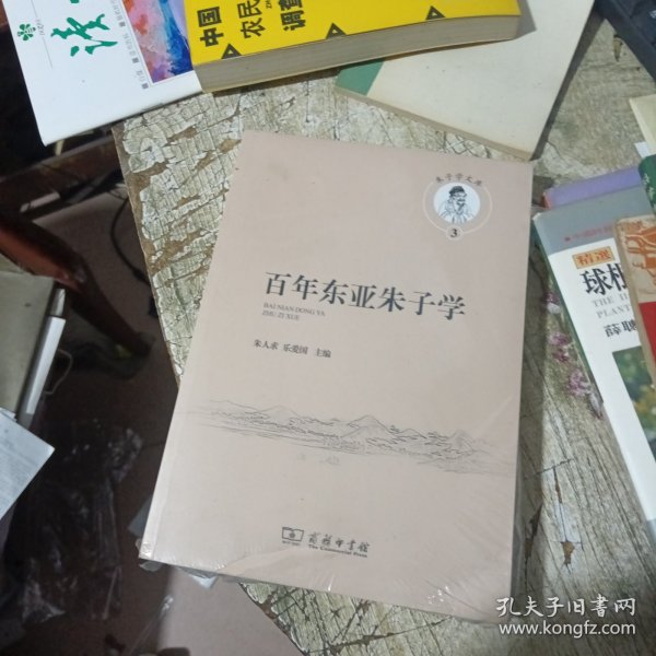 百年东亚朱子学(朱子学文库)