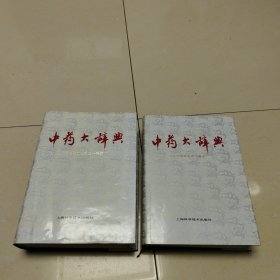 中药大辞典 上下