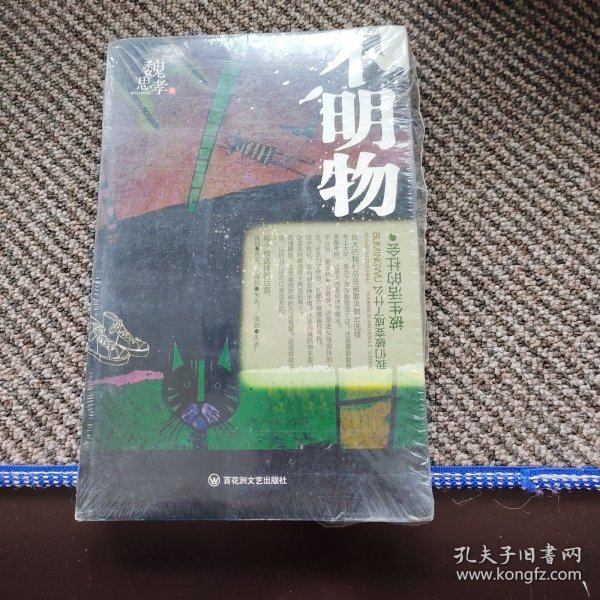 不明物：被生活的社会，我们被变成了什么（首部黑色幽默+荒诞的青春小说）