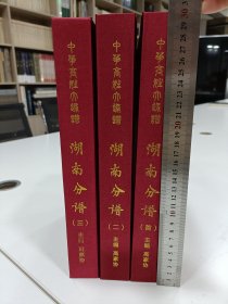 《中华高姓大通谱》湖南分谱