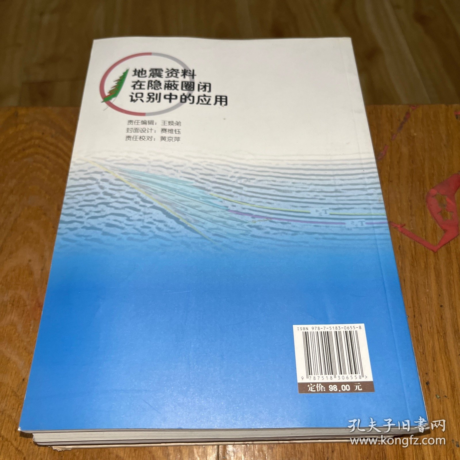 地震资料在隐蔽圈闭识别中的应用