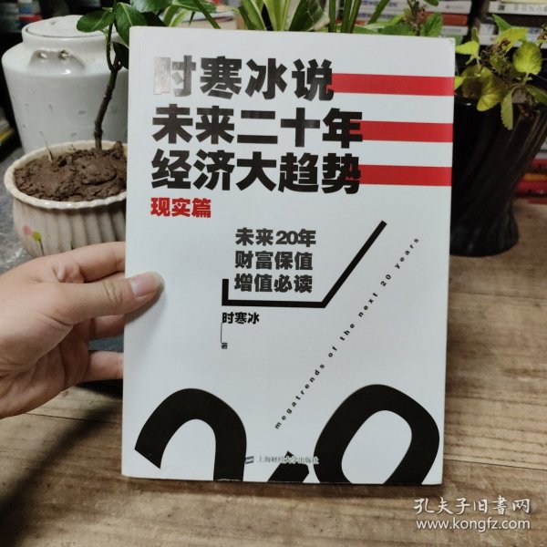 时寒冰说：未来二十年，经济大趋势（现实篇）