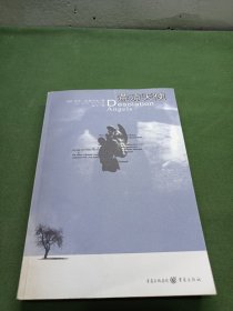 荒凉天使：16开平装