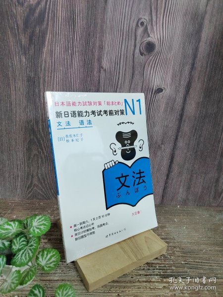 N1语法