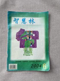 智慧林 2004 6