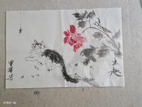 小猫