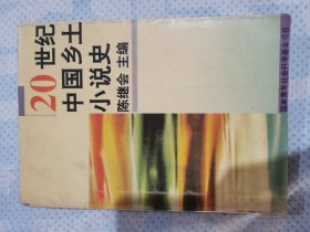 20世纪中国乡土小说史