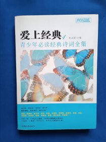 《天星教育·疯狂阅读 爱上经典4：青少年必读经典诗词全集》，16开。