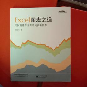 Excel图表之道：如何制作专业有效的商务图表