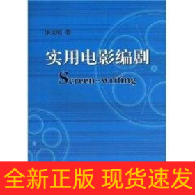 实用电影编剧