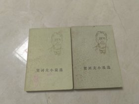 契诃夫小说选 上下册