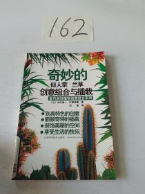 奇妙的仙人掌 兰草创意组合与插栽