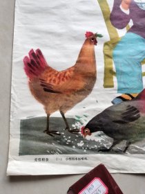 小学语文教学挂图（幼儿园适用）：爱惜粮食（一、二、三全三幅，六开1974年二印）