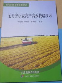 无公害小麦高产高效栽培技术（正版全新）