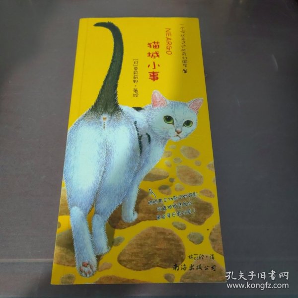 猫城小事