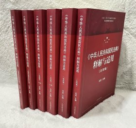 《中华人民共和国民法典》释解与适用·总则编