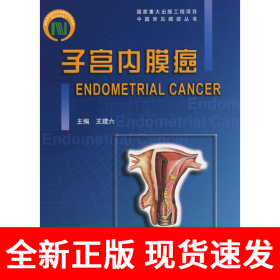 子宫内膜癌（中国常见癌症丛书）
