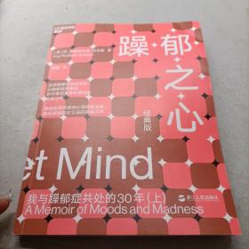 躁郁之心：我与躁郁症共处的30年(上)