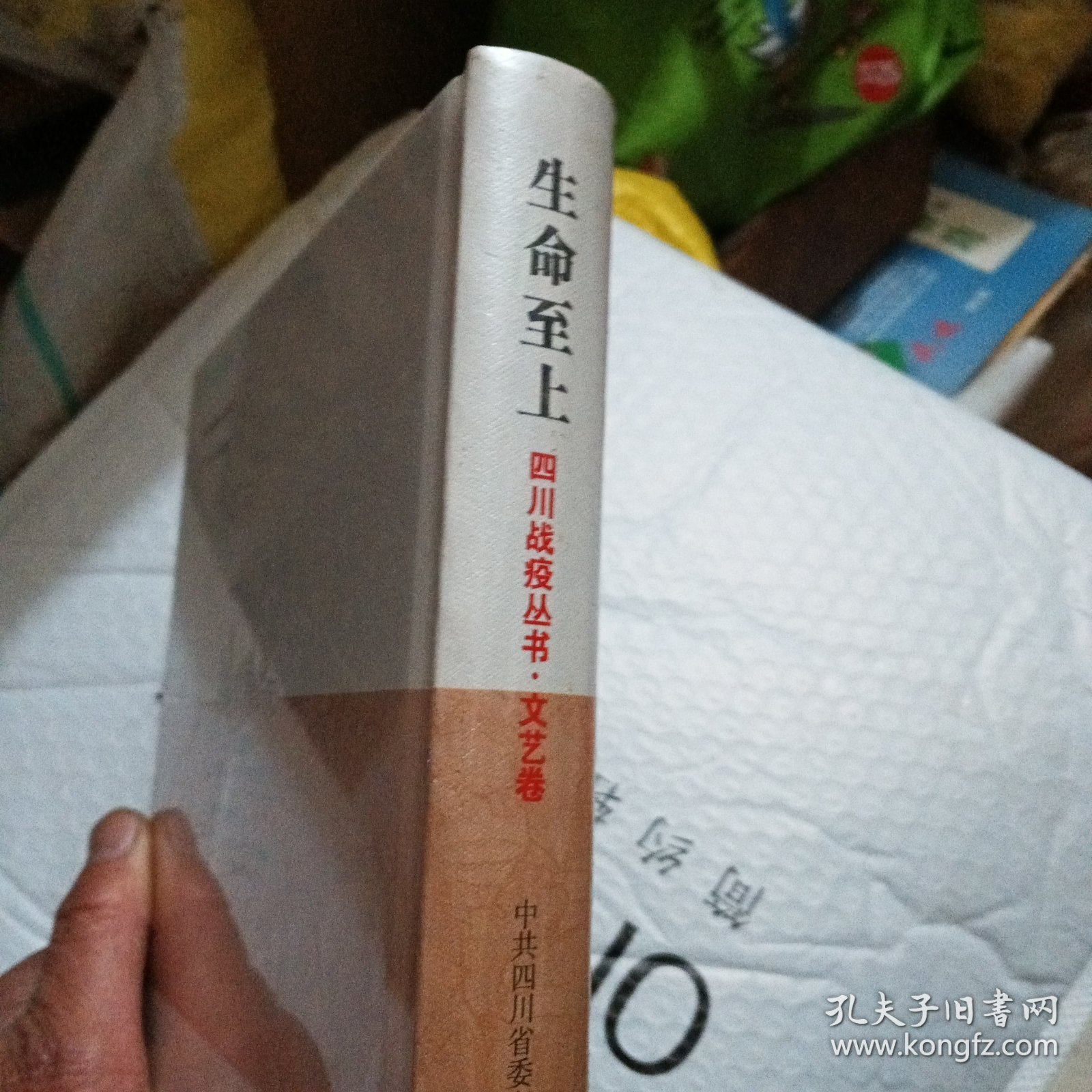生命至上：四川战疫丛书·文艺卷