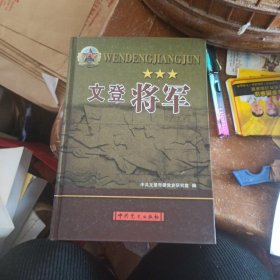 文登将军