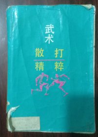 武术散打精粹