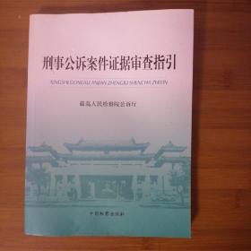 刑事公诉案件证据审查指引