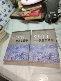 名士自白:我在文革中（上下）