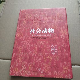 社会动物：爱、性格和成就的潜在根源