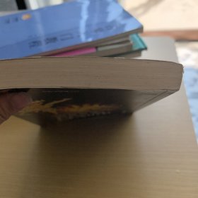 鬼吹灯之圣泉寻踪