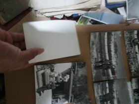 西藏照片,12张合售