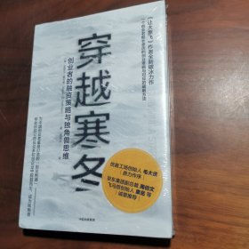 穿越寒冬:《让大象飞》作者的全新破冰力作