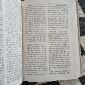 中国历史大辞典.明史