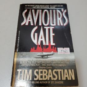 Saviour's Gate