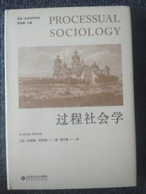 历史-社会科学译丛 002 过程社会学