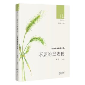 不屈的黑麦穗