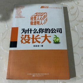 为什么你的公司没长大