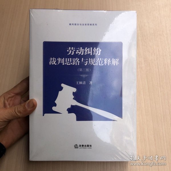 劳动纠纷裁判思路与规范释解（第三版）