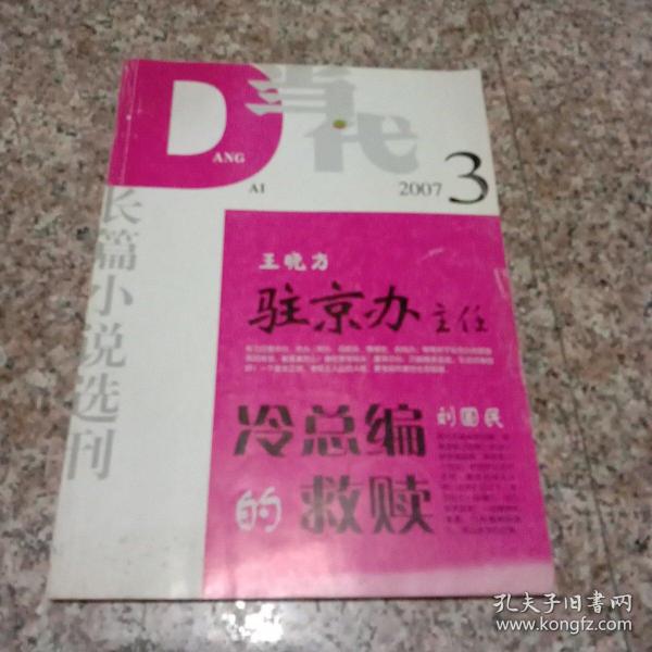 当代长篇小说选刊 2007年第3期