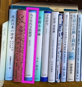 价可议 九十年代文化批评 57zdwzdw 九十年代文化批評