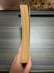 哈尔维 彪奇